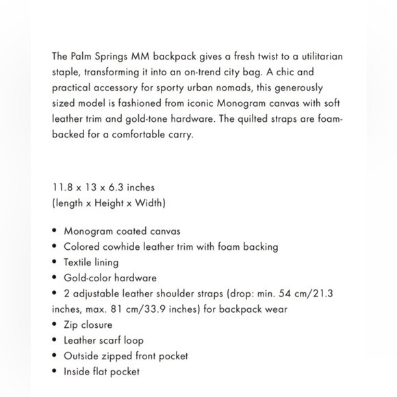 Louis Vuitton Palm Springs MM - Picture 10 of 10